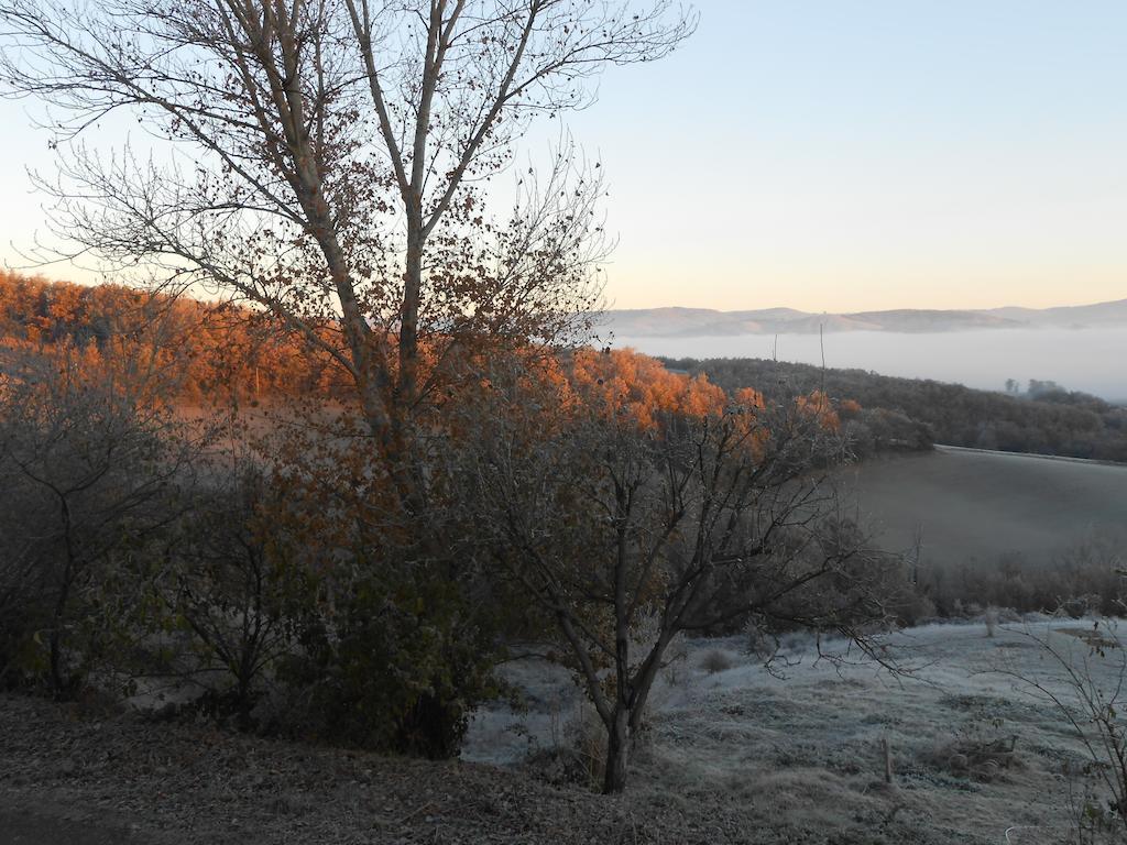 Gite Des Monts Saint-Izaire Екстериор снимка