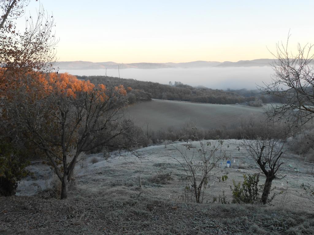 Gite Des Monts Saint-Izaire Екстериор снимка