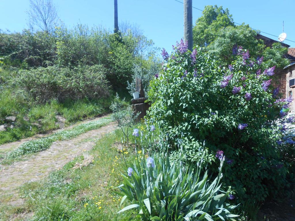 Gite Des Monts Saint-Izaire Екстериор снимка