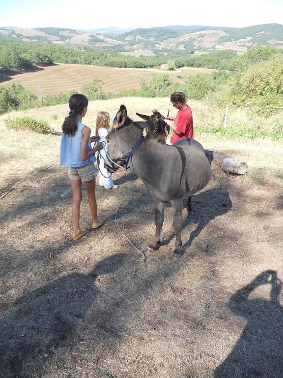 Gite Des Monts Saint-Izaire Екстериор снимка