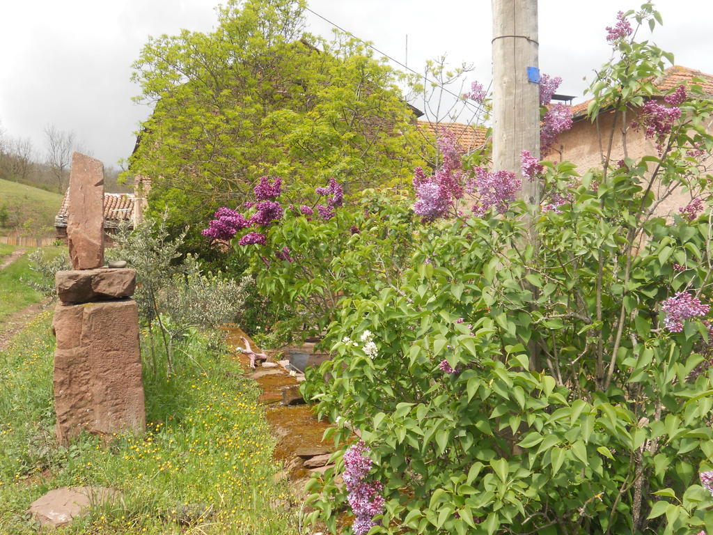 Gite Des Monts Saint-Izaire Екстериор снимка