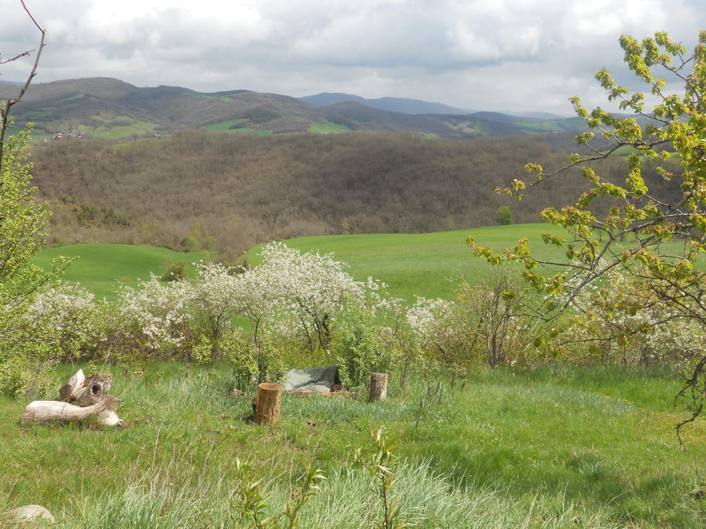 Gite Des Monts Saint-Izaire Екстериор снимка